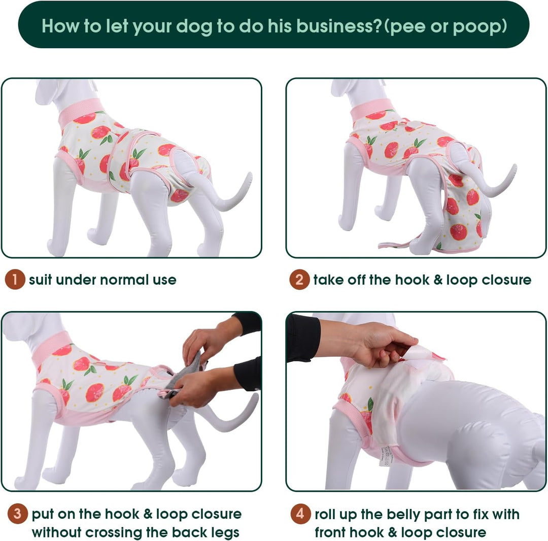 Pet apparel: a soft recovery suit for dogs & cats, protecting surgical wounds & ensuring comfort.