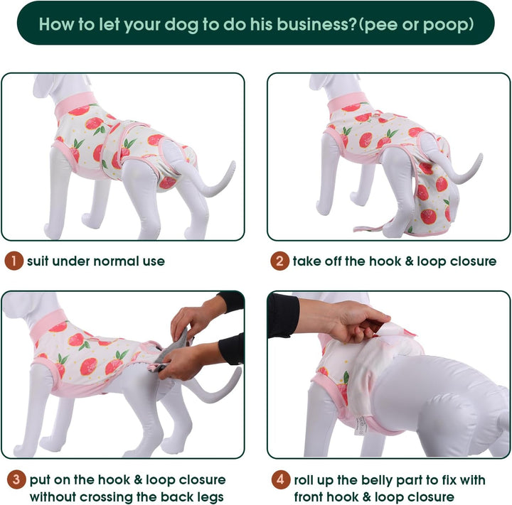Pet apparel: a soft recovery suit for dogs & cats, protecting surgical wounds & ensuring comfort.