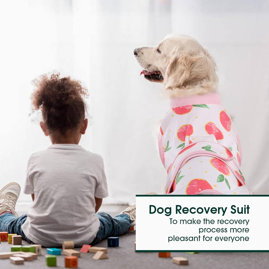 Post-op pet recovery suit for dogs & cats. Comfortable wound protection & a gentle cone alternative.