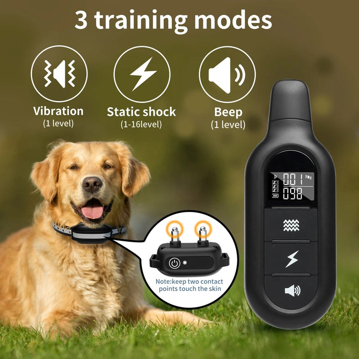 Rechargeable waterproof dog training collar and remote, ideal for consistent and humane canine obedience training.