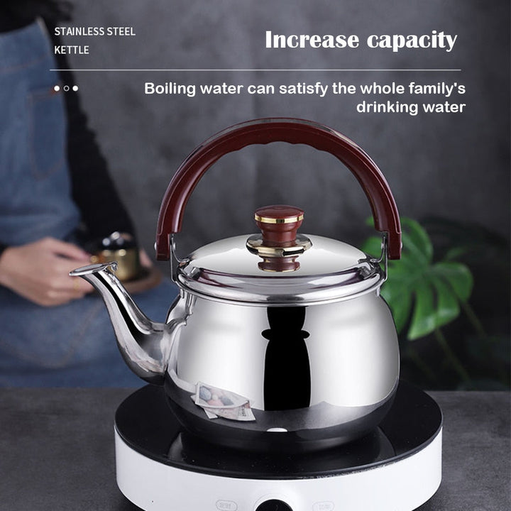 Modern stainless steel whistling kettle, efficient hot water boiler for home kitchen.