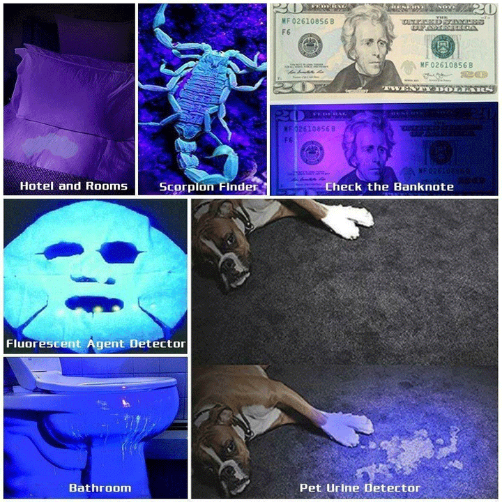 Durable UV blacklight for outdoor scorpion spotting and indoor detection of pet waste and bed bugs.