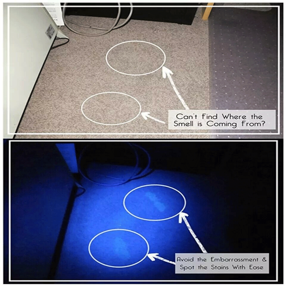 Efficient UV flashlight for illuminating pet accidents, scorpions, and other hidden threats in low light.
