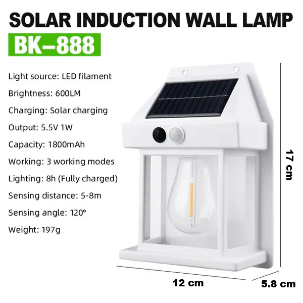 Eco-friendly solar wall lamp, perfect for outdoor garden & patio lighting. Weather-resistant LED with auto sensor.