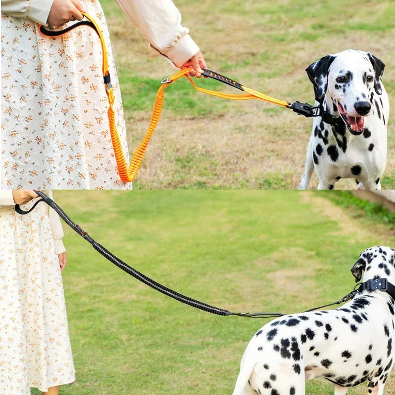 Durable K9 gear: heavy-duty tactical bungee dog leash with reflective elements & dual handles for control.