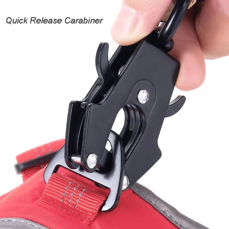 Heavy-duty dog leash for daily walks & strong dogs. Bungee design, reflective & dual handles for pet safety.