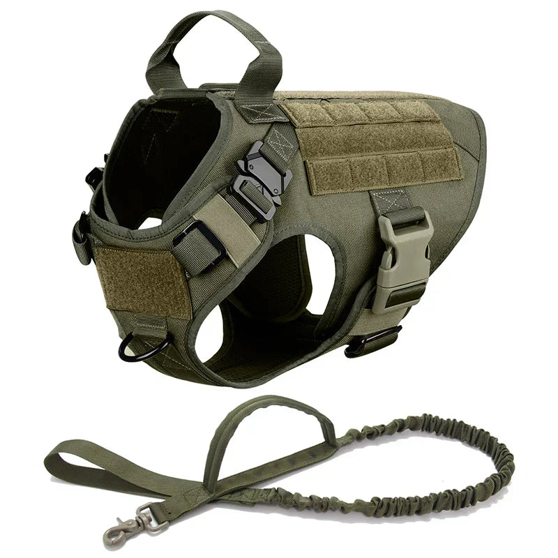 Adventure dog harness: robust no-pull tactical vest for training, hiking, and all outdoor activities.
