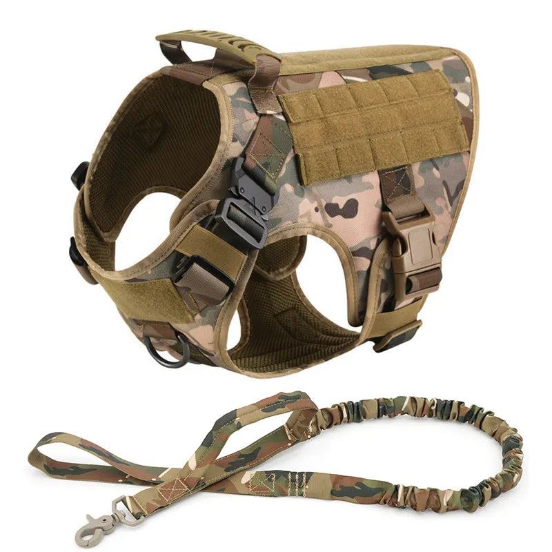 No-pull tactical dog training harness, designed for comfort and control during intense outdoor sessions.