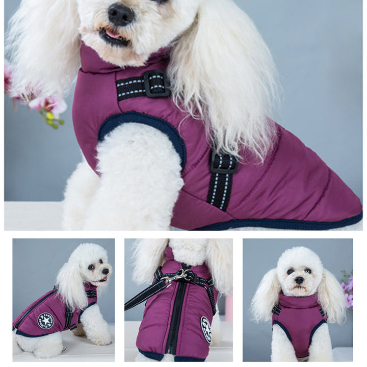 Stylish waterproof dog jacket with reflective belt, keeps your canine companion dry and visible.