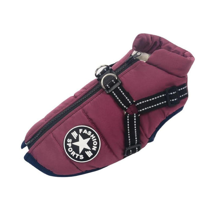 Small dog waterproof jacket with reflective trim, keeps tiny pets dry and visible on walks.