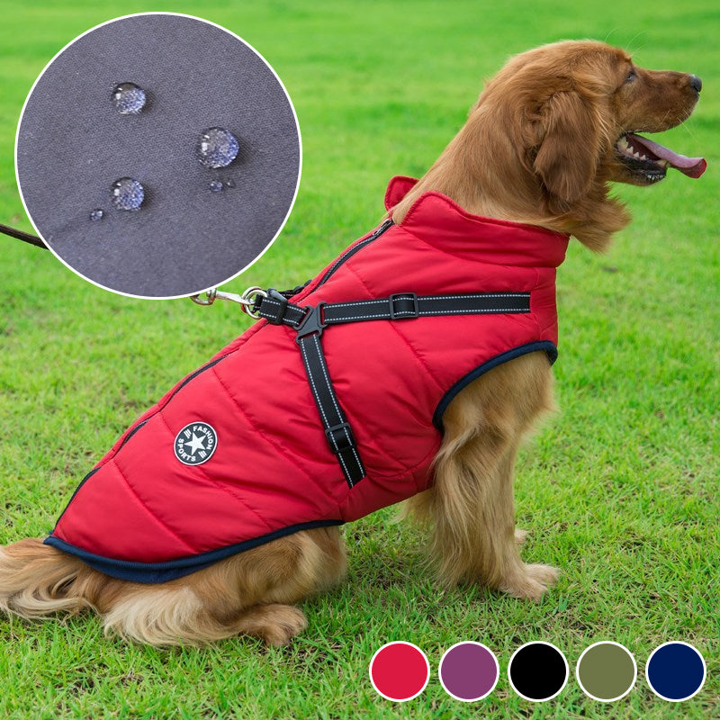 Large dog waterproof rain jacket, reflective belt for big pets, ensuring safety in all weather.