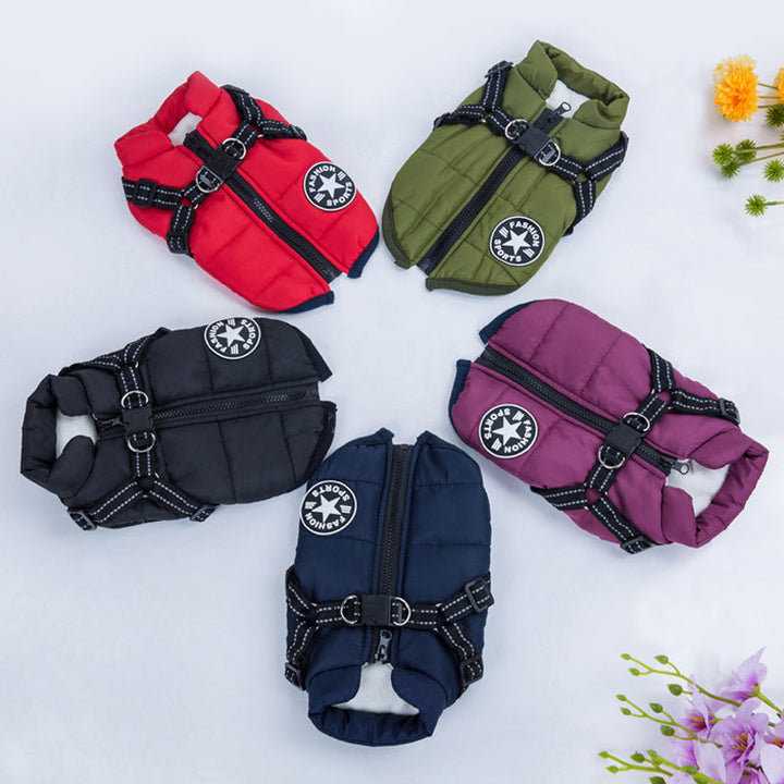 Dog walking gear: waterproof dog jacket with reflective strip, ensuring dry and safe strolls.