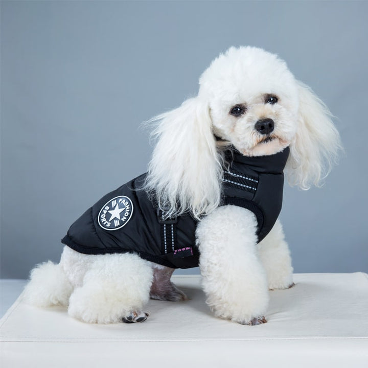 Warm dog coat with harness, waterproof for rain & snow, essential pet apparel for cold weather.