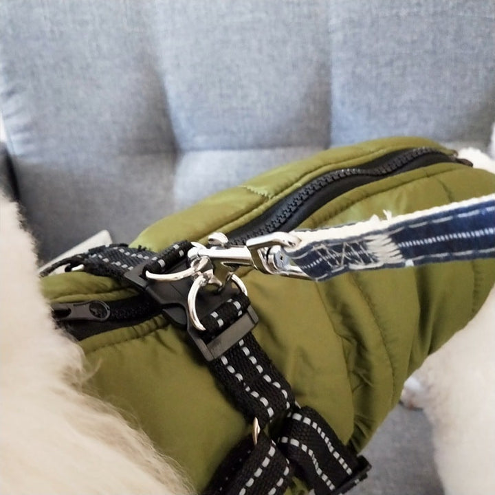 Durable winter dog jacket with integrated harness, designed for outdoor adventures & safety.