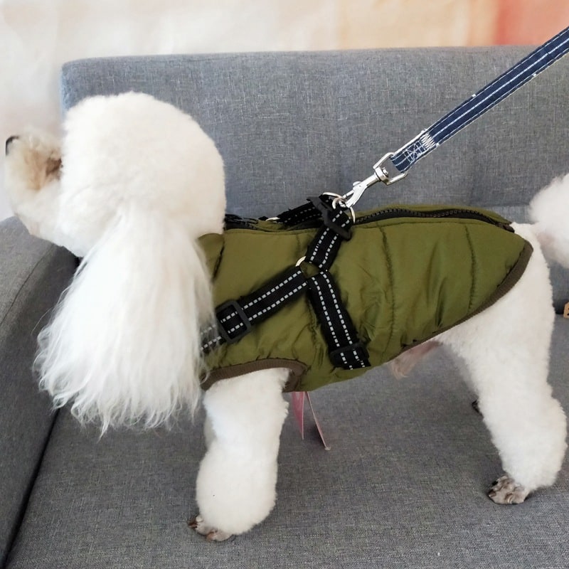 Water-resistant dog vest with reflective accents & harness, ideal for winter outdoor dog gear.