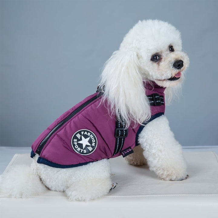 Pet apparel: warm dog coat with reflective harness for winter walks & enhanced visibility.